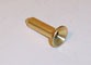 DRU - Injecteur veilleuse gaz propane Ø0,25mm
